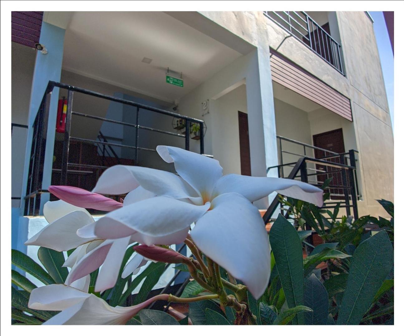 3B Apartment-Sha Extra Plus カマラビーチ エクステリア 写真