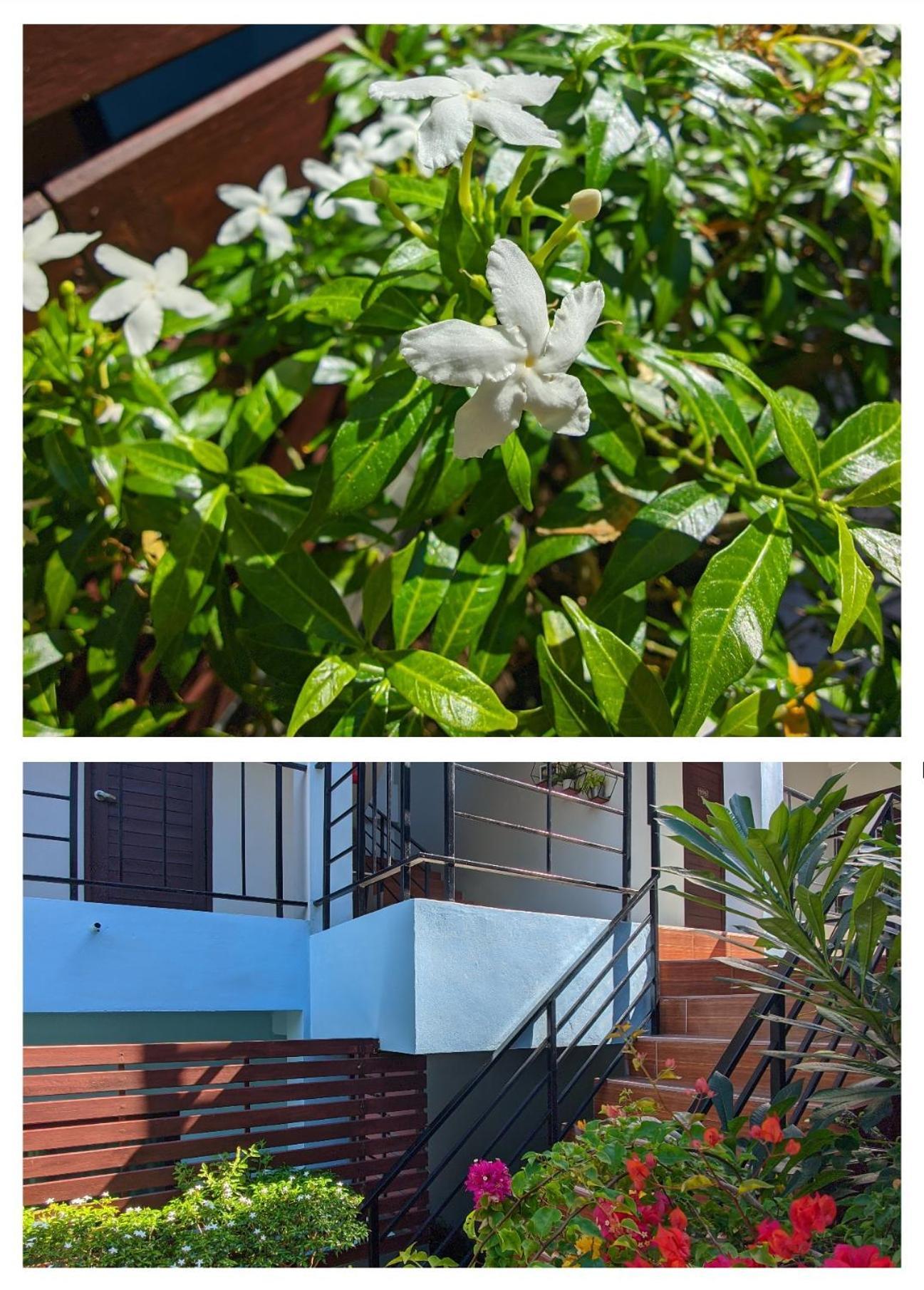 3B Apartment-Sha Extra Plus カマラビーチ エクステリア 写真